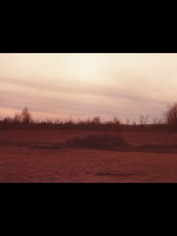 p_0019.jpg