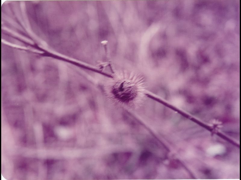 p_0049.jpg