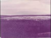 p_0050_small.jpg