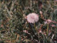 p_0017_small.jpg