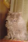 img_0009_small.jpg