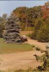 img_0016_small.jpg