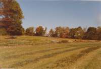 img_0020_small.jpg
