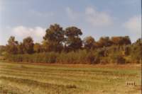 img_0021_small.jpg