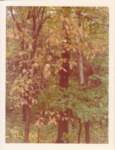 summer1977_0019_small.jpg