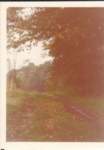 summer1977_0022_small.jpg