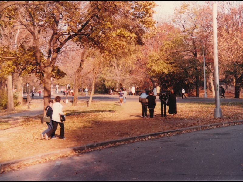 p_0046.jpg
