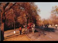 p_0055_small.jpg