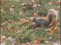 p_0058_small.jpg