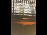 p_0074_small.jpg