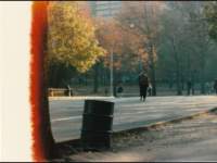 p_0080_small.jpg