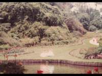 p_0033_small.jpg