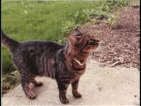 p_0013_small.jpg