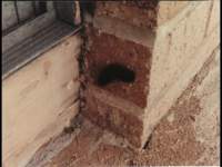 p_0020_small.jpg