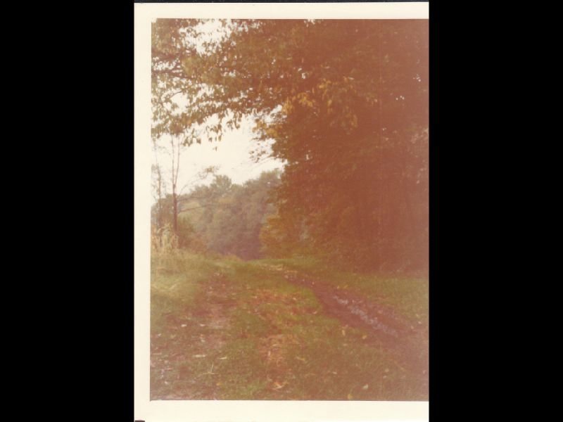 p_0001.jpg