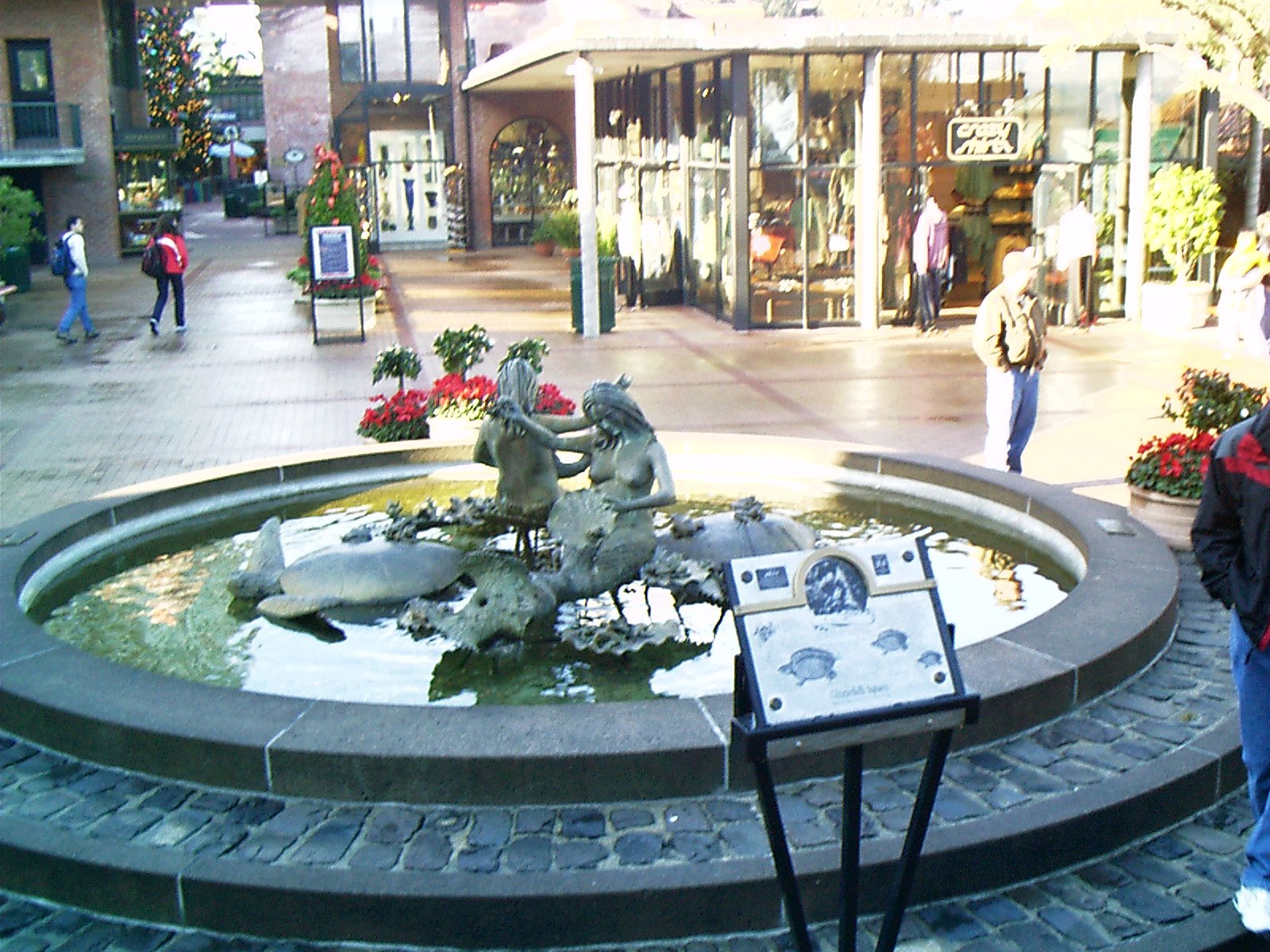 imag0034.jpg