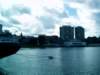 imag0050_small.jpg