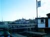 imag0053_small.jpg