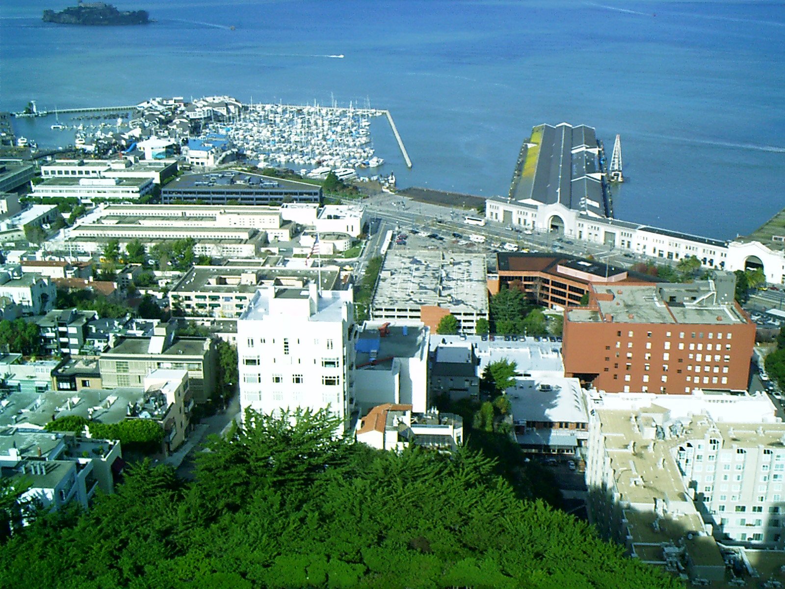 imag0061.jpg