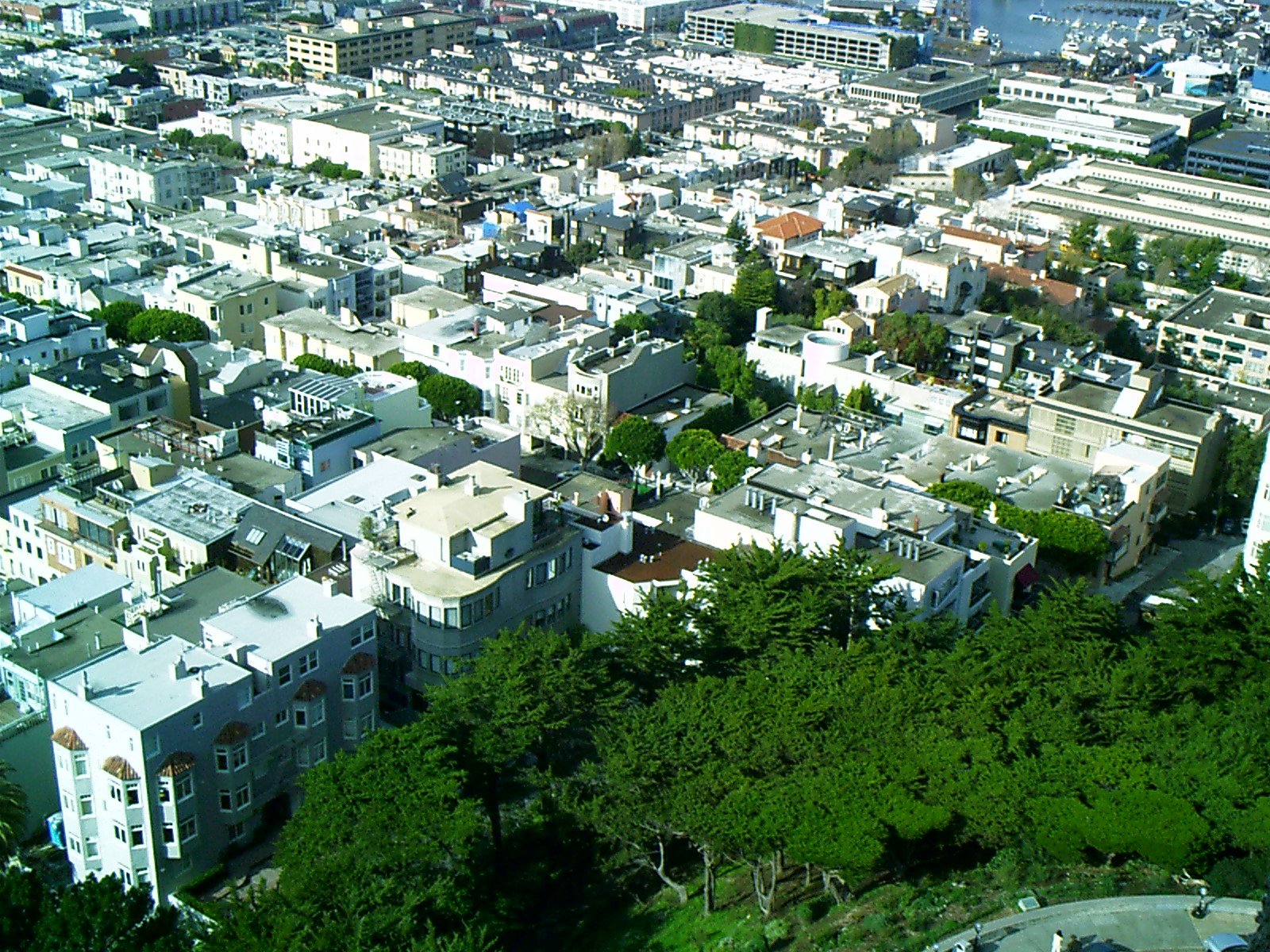 imag0063.jpg