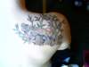 imag0127_small.jpg
