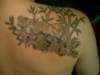 image041_small.jpg