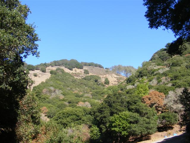 618x457 pixels (72K)