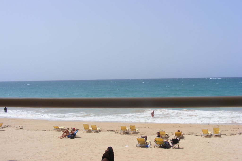 dscf0463.jpg