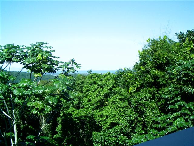 618x457 pixels (76K)