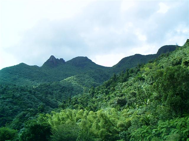 618x457 pixels (49K)