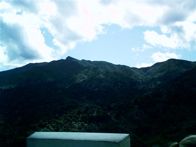 618x457 pixels (28K)