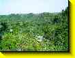 640x480 pixels (90.8K)