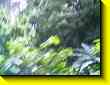 640x480 pixels (49.6K)