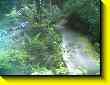 640x480 pixels (59.5K)