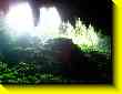 640x480 pixels (52.5K)