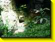 640x480 pixels (72.5K)
