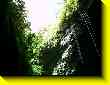 640x480 pixels (67.0K)