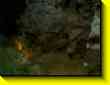 640x480 pixels (35.9K)