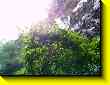 640x480 pixels (66.5K)