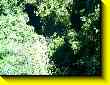 640x480 pixels (111.5K)
