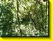 640x480 pixels (134.8K)