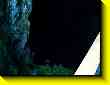 640x480 pixels (30.6K)