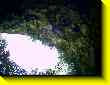 640x480 pixels (56.1K)