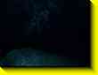 640x480 pixels (20.5K)