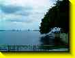 640x480 pixels (40.5K)