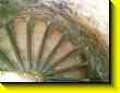 640x480 pixels (47.9K)