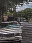 photodec12125659_small.jpg