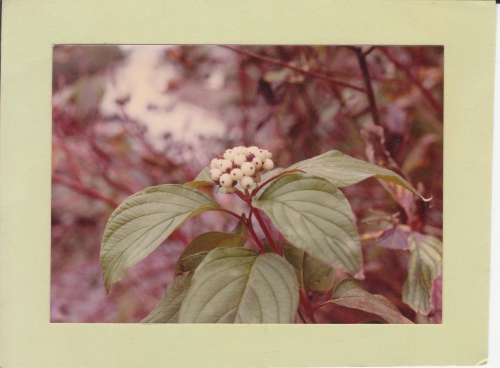 photo17.jpg