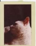photo18_small.jpg