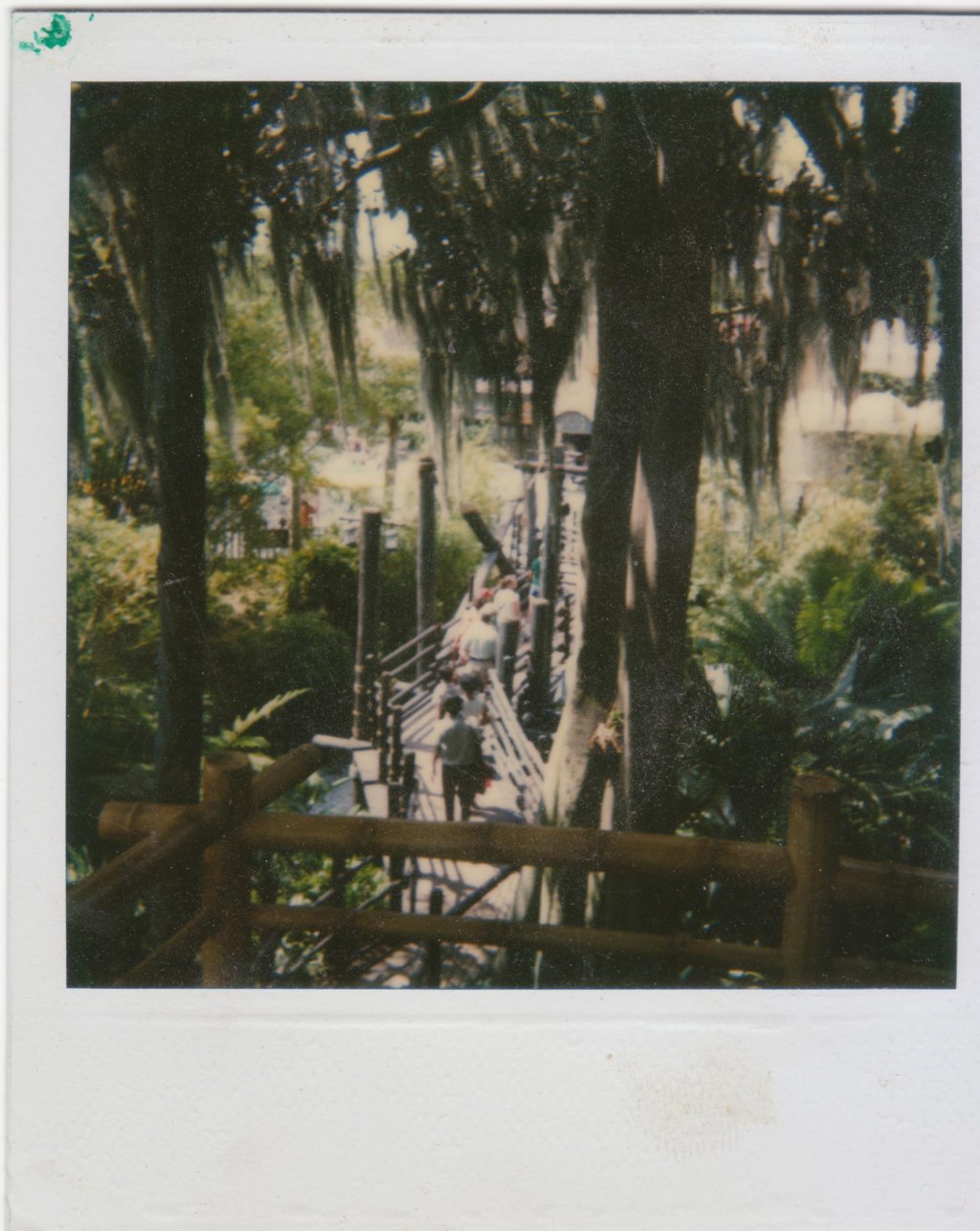 photo7.jpg